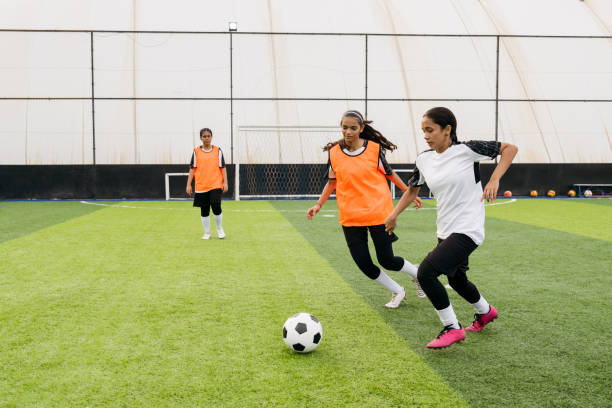 中的费爾廷 中的费爾廷